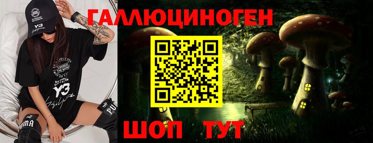 купить  цена  Псилоцибиновые грибы ЛСД  Вход с VPN  Омск 