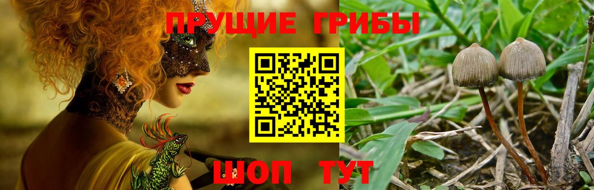 БУТИРАТ Омск
